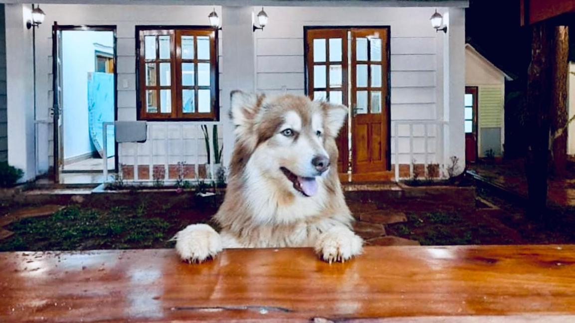 Nang Homestay Mang Den Tỉnh Kontum Екстериор снимка